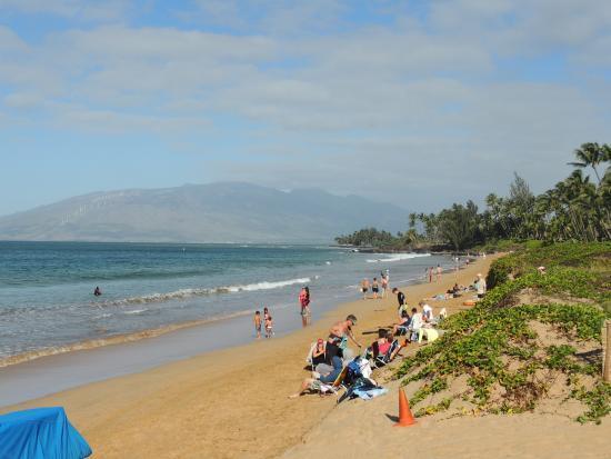 Amazing Kihei Kai Nani - Maui Vista One Bedroom Condos Zewnętrze zdjęcie